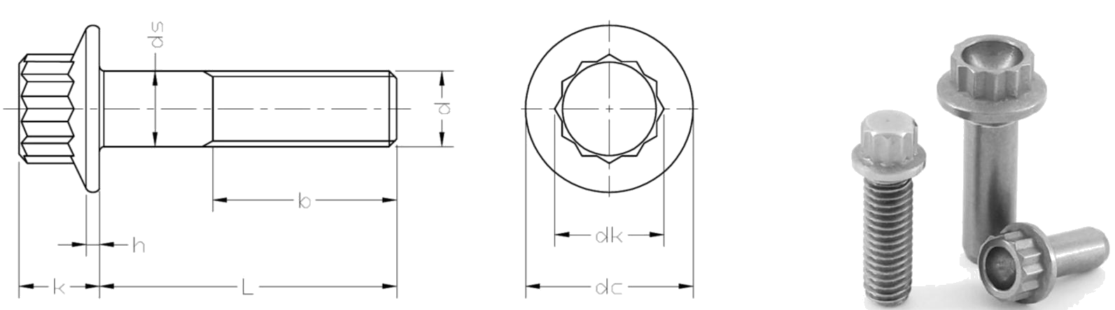 V&iacute;t mặt b&iacute;ch Titan Metric 12 điểm