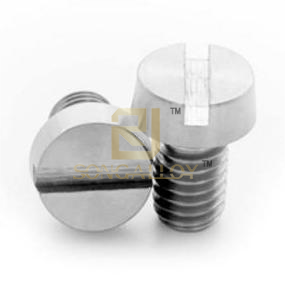 Din84 Vít đầu thép không gỉ bằng thép không gỉ