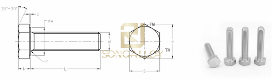 Chốt lục giác Titan nguyên chất GB5783