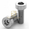 DIN6912 Thép không gỉ Hexagon Ổ cắm đầu mỏng Vít với Pilot Dices