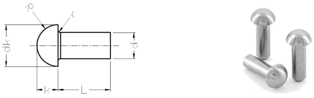 Đinh tán tròn Titan