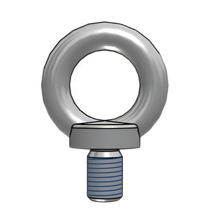 DIN580 eye bolts.jpg
