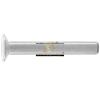 GB / T869 Đinh tán đầu bằng titan